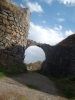 Lori Fortress
