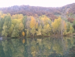 Jermuk